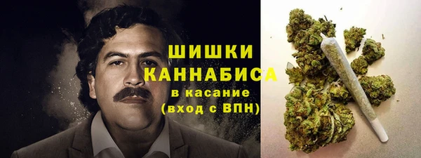 ешки Арсеньев