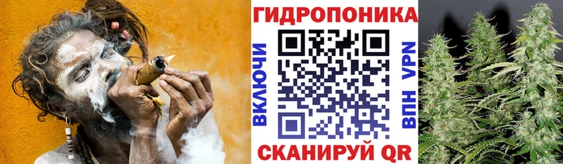 Бошки марихуана гибрид  Купить  Таштагол 